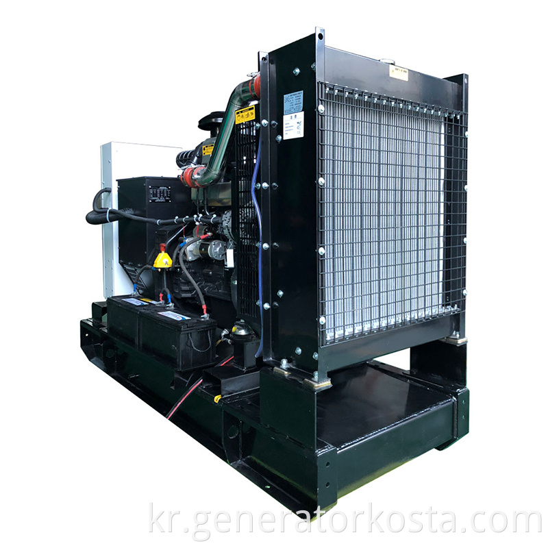 Sdec Diesel Generator Set